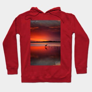 Stunning Hoodie